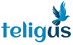 Teligus Networks Pvt. Ltd